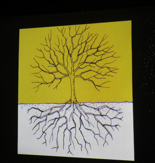 Baum 2