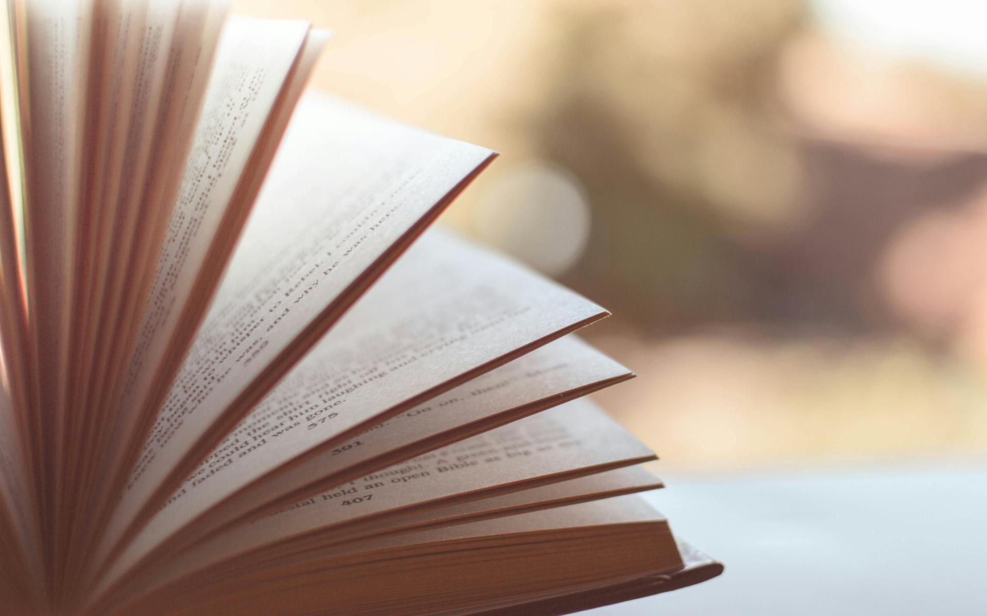 Bücher 7